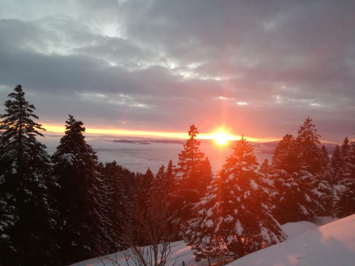Apartmaji Vrhovnik Cerklje na Gorenjskem